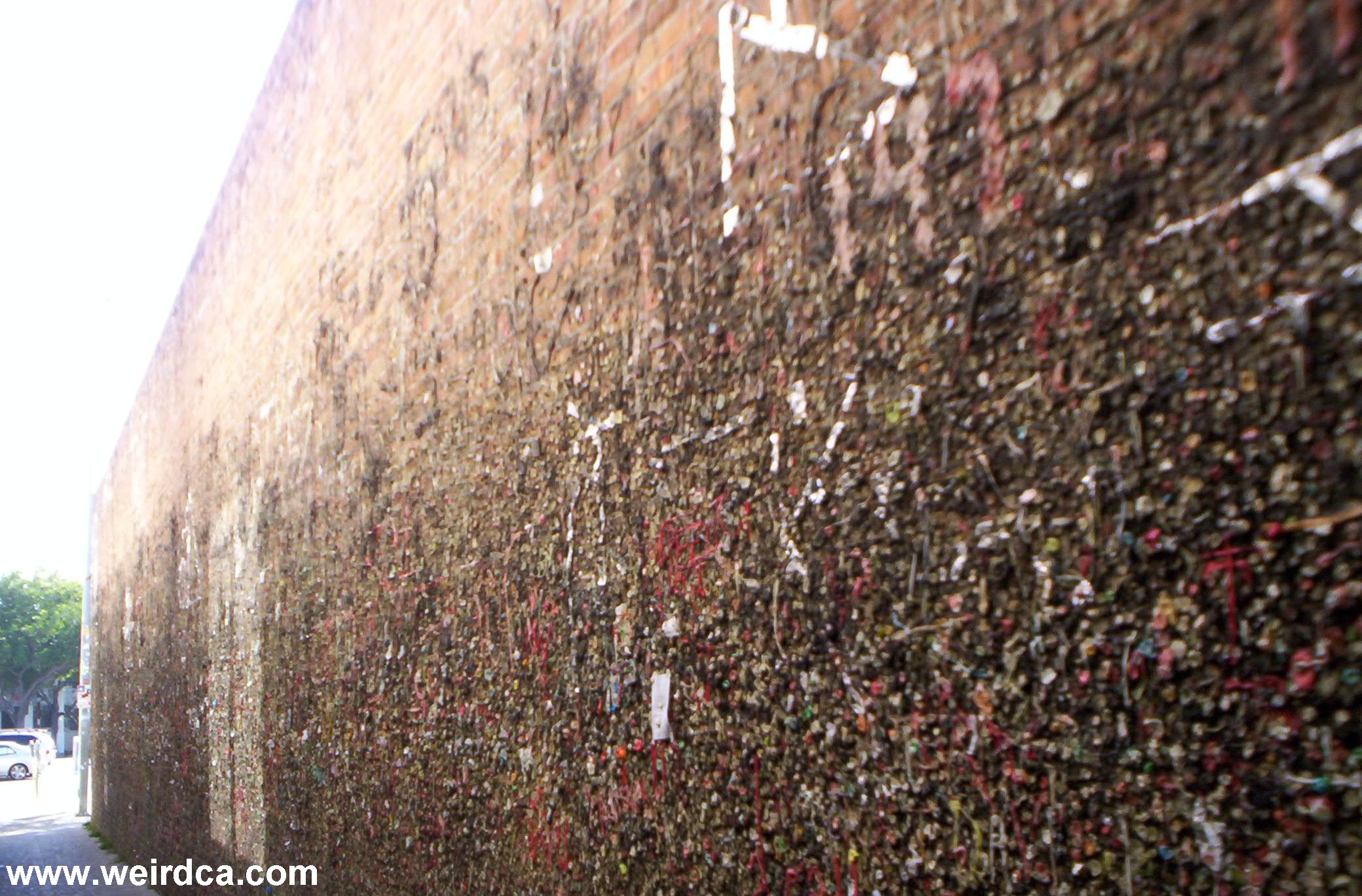 San Luis Bubblegum Alley