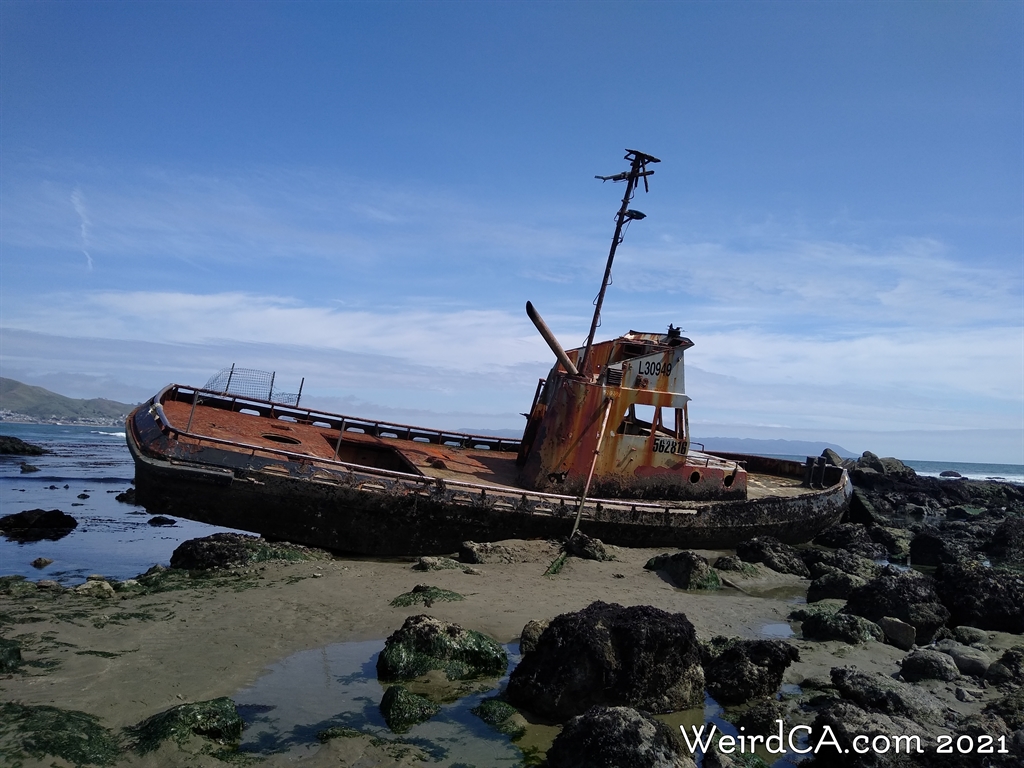 SHIPWRECKS AND SEA MONSTERS / California / Bay of Monterey