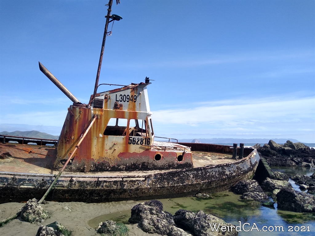 SHIPWRECKS AND SEA MONSTERS / California / Bay of Monterey