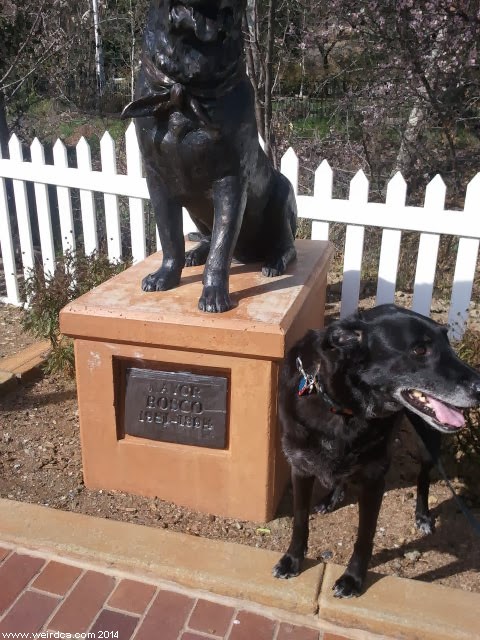 K9 Bruno - Anaheim, California - Memorials to Fallen K-9's