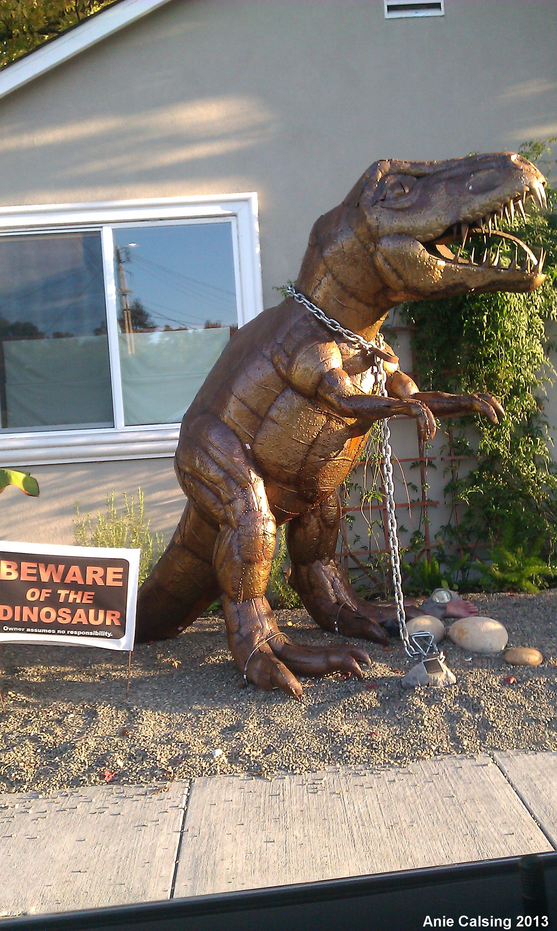 dinosaur dug