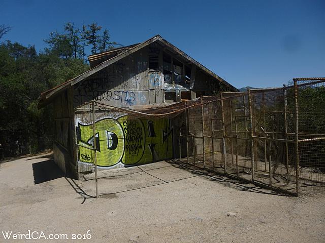 oldlazoo54