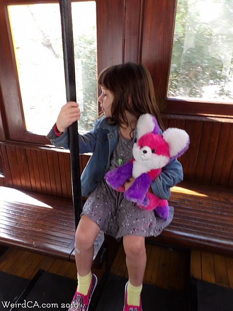 angelsflight19