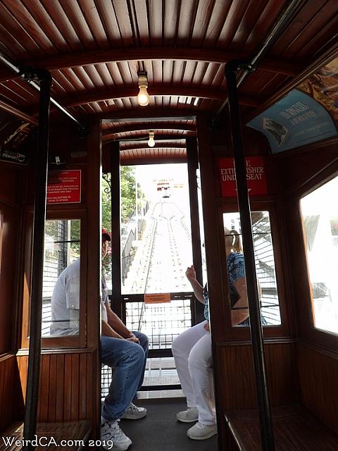 angelsflight21