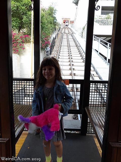 angelsflight24