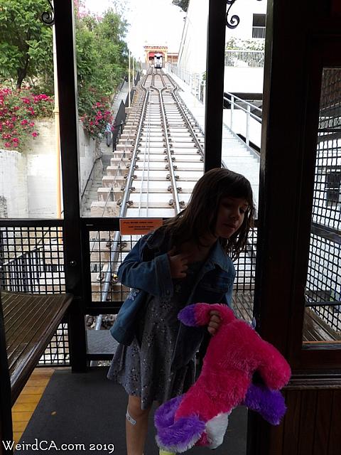 angelsflight26