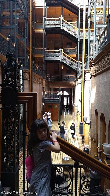 bradbury073