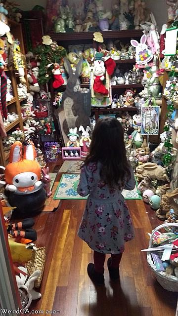 bunny museum124