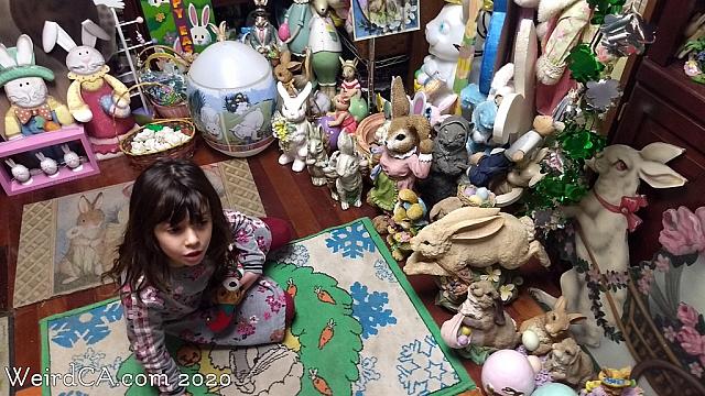 bunny museum132