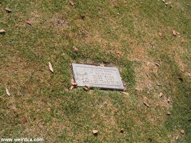HPIM0294