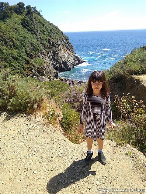 partington cove030