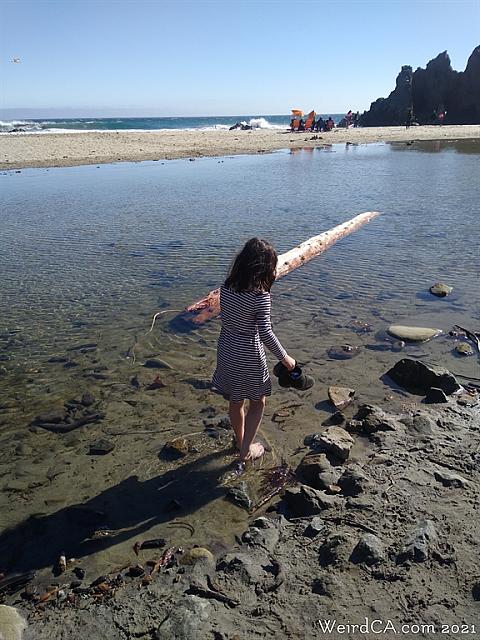 pfeifferbeach04