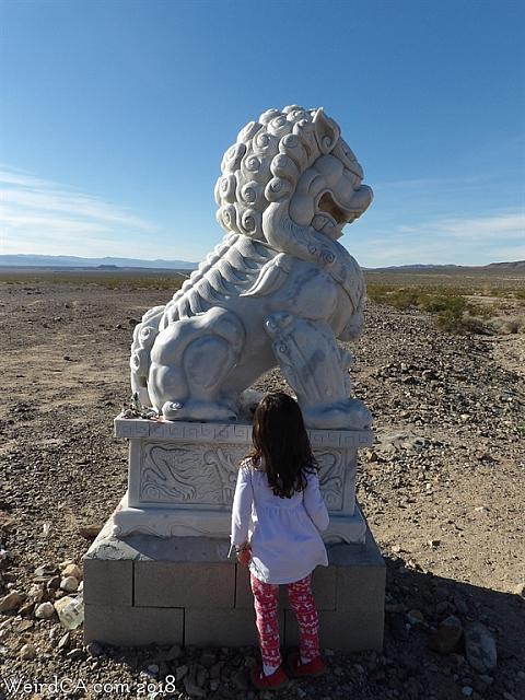amboy guardians017