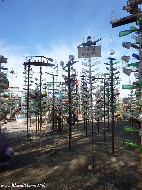 bottletreeranch25