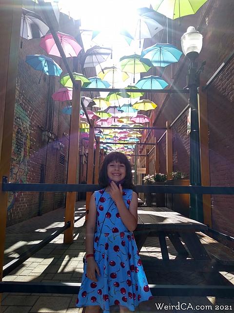 orange alley005