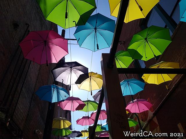orange alley011