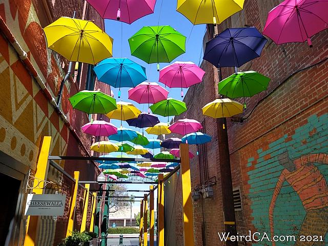 orange alley015