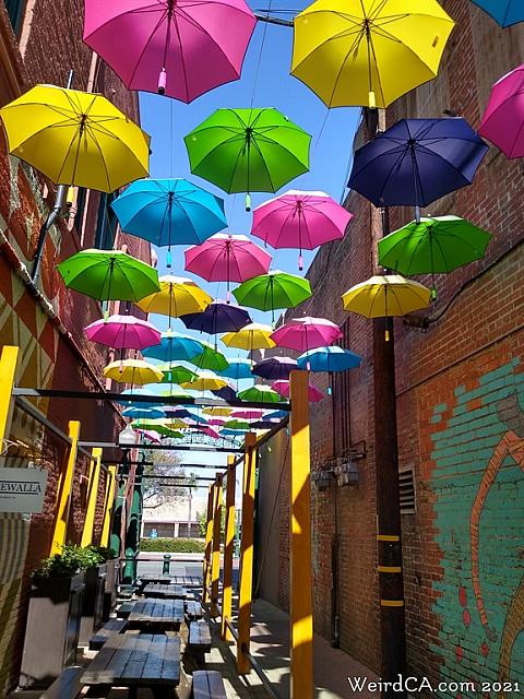 orange alley016