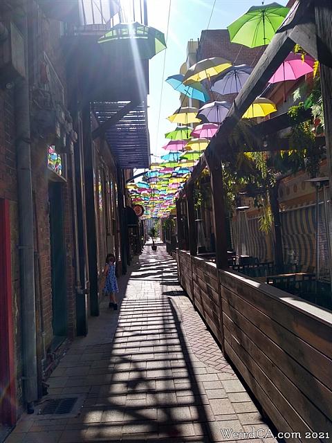 orange alley019