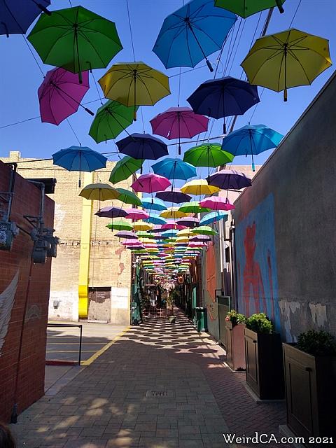 orange alley075