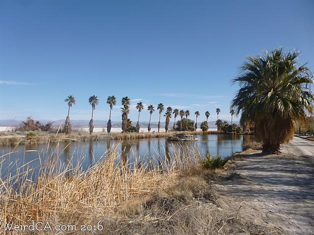 zzyzx18