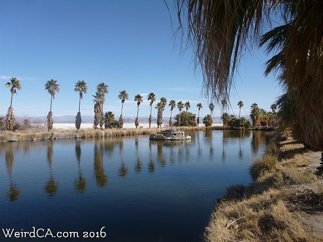 zzyzx19