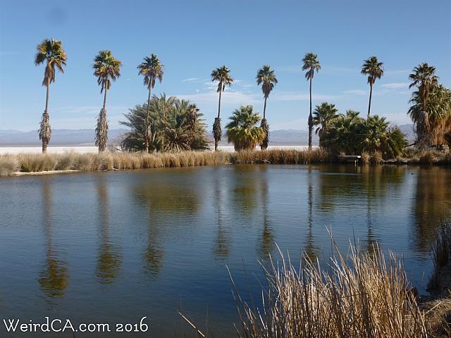 zzyzx26