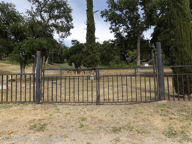 adelaida cemetery01