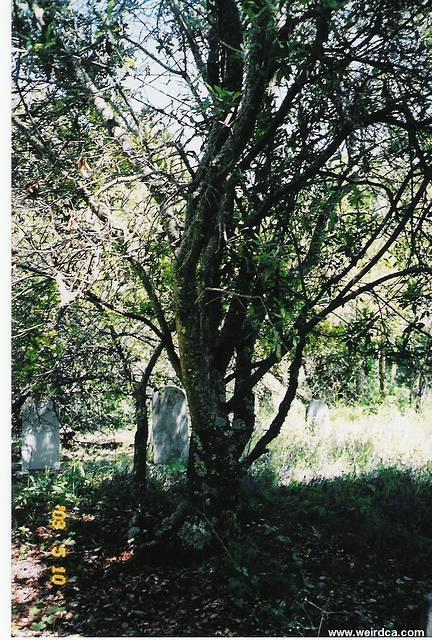 scan0004