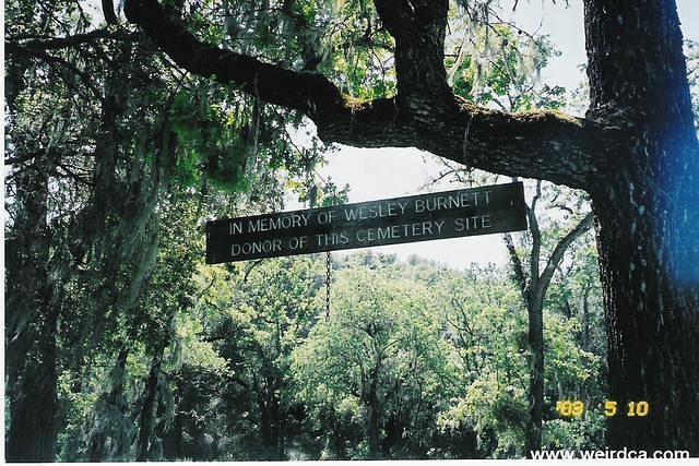 scan0006