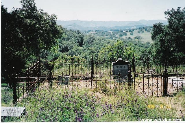 scan0007