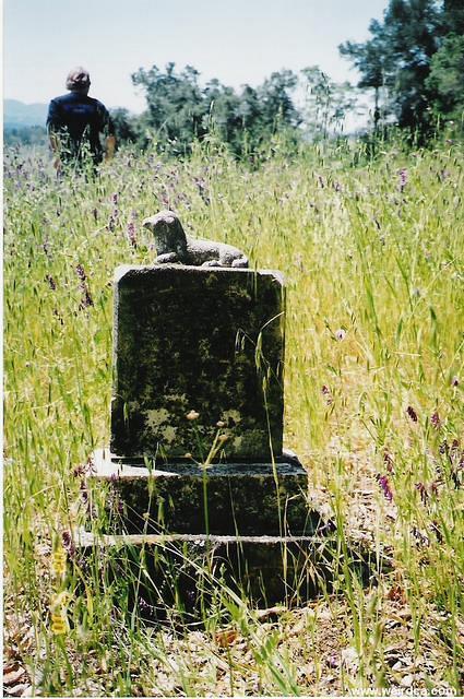 scan0011
