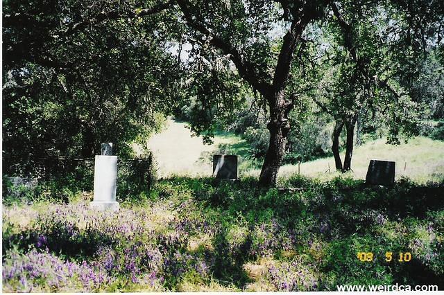 scan0012