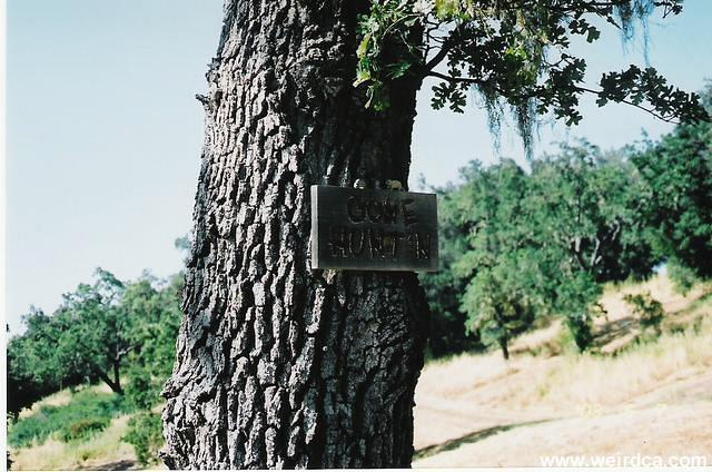 scan0017