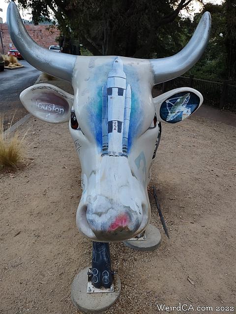 cow creamery24
