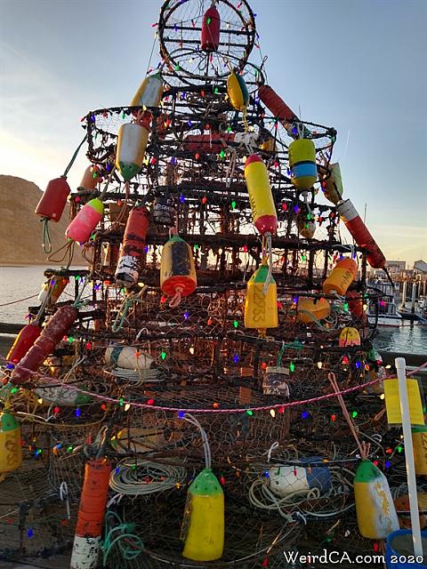 crabpot christmas55