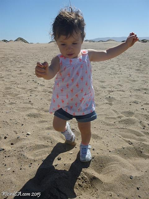 dunes21
