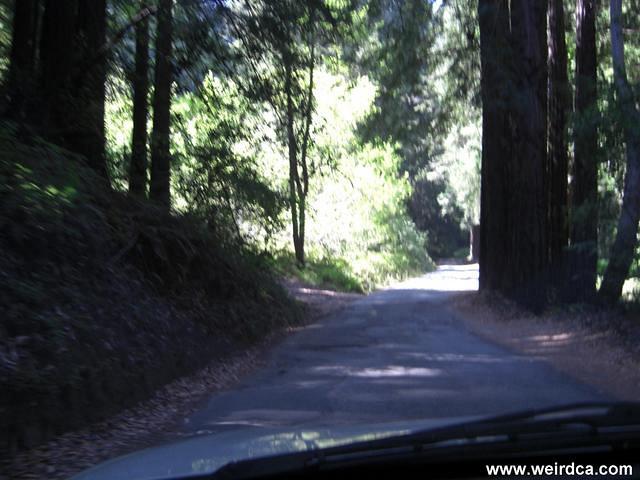 CIMG0548