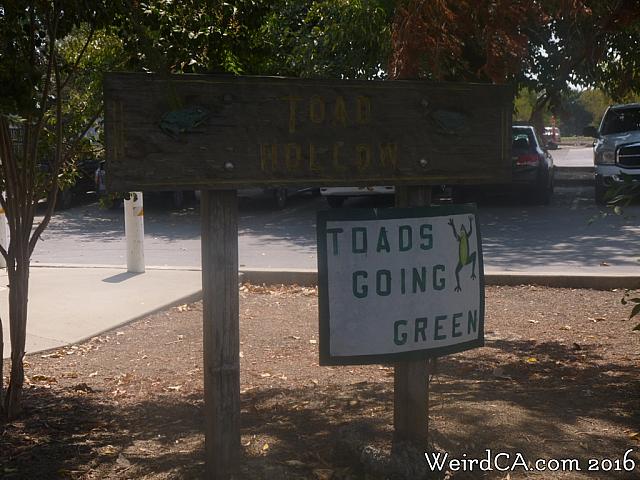 toadhollow03