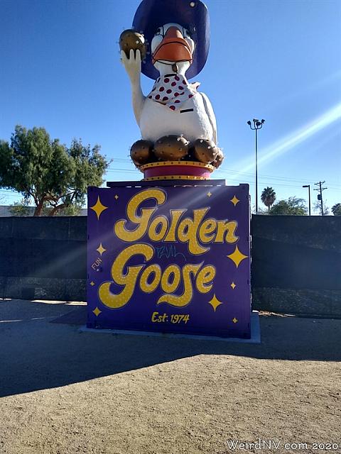 golden goose11