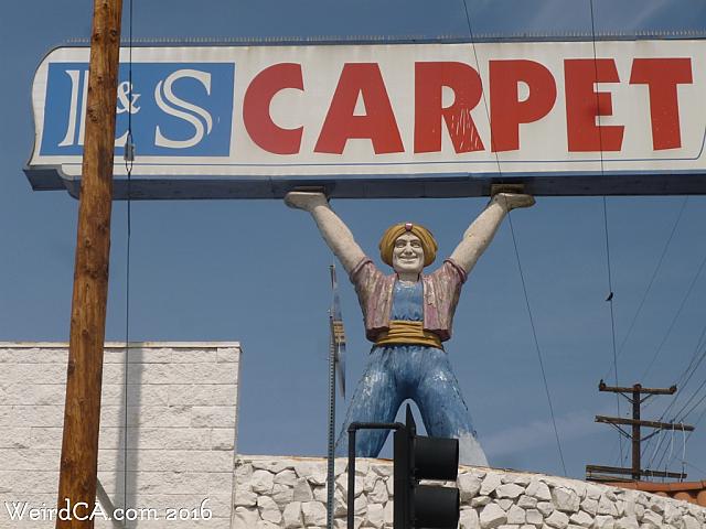 carpeteria hollywood04
