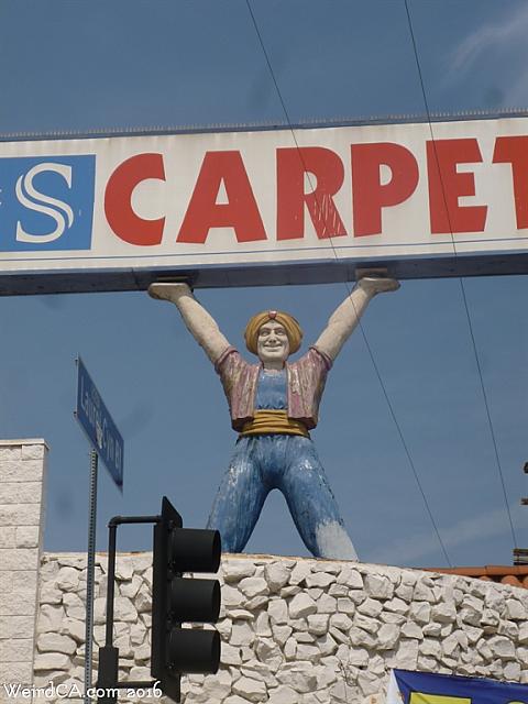 carpeteria hollywood08
