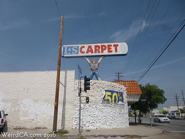 carpeteria hollywood09