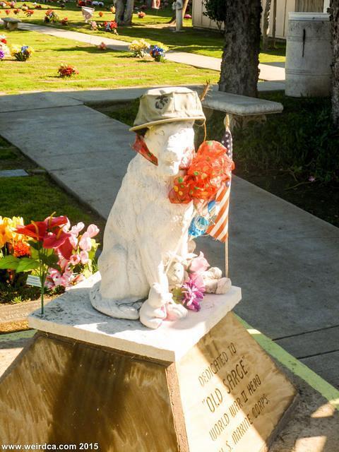 P1090456