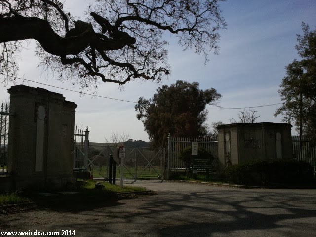 2014-02-17 13.03.31