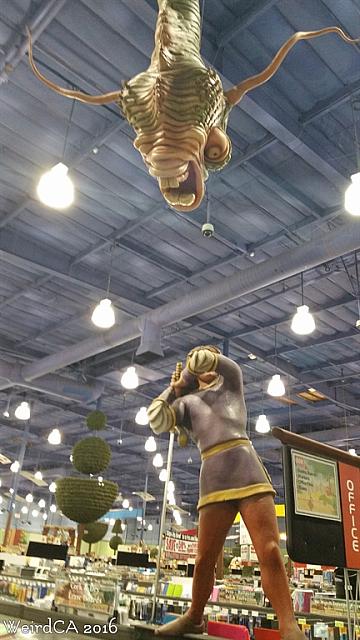 frys wonderland05