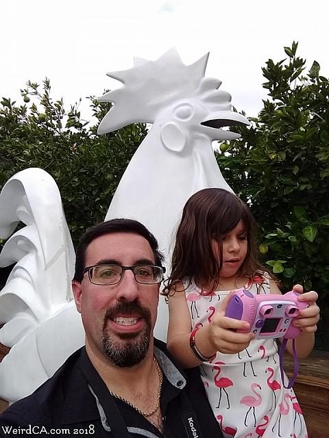 chicken anaheim 20