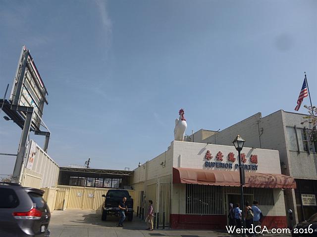 chinatown chicken02