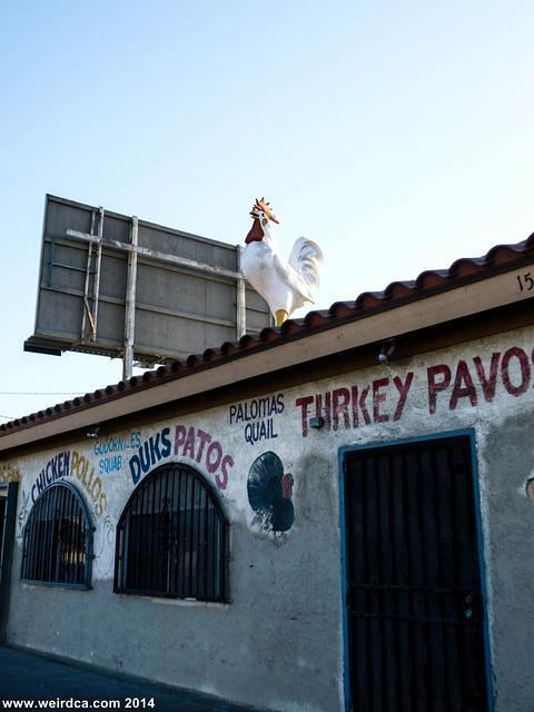 P1060555