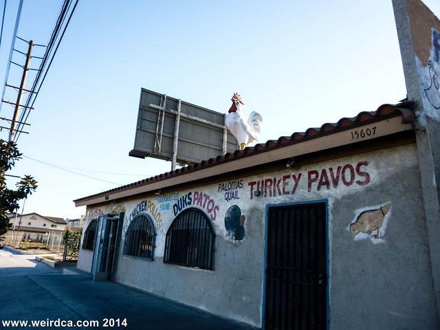 P1060556